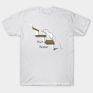 Ferret- Stair Master T-Shirt